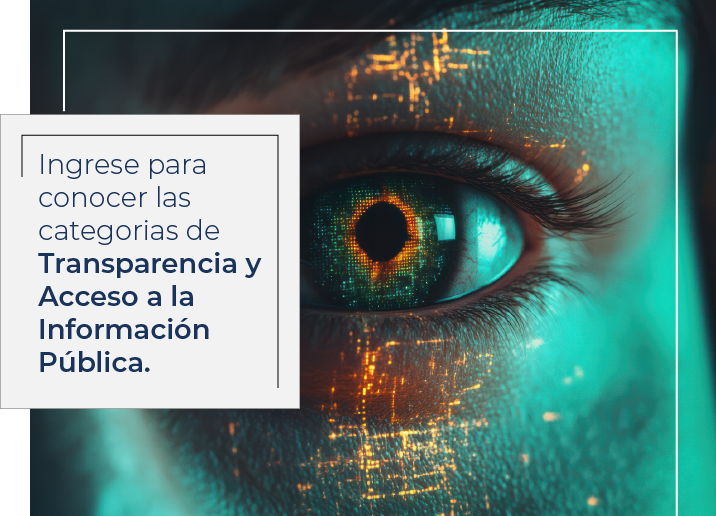 Ingrese para conocer las categorías de Transparencia y Acceso a la Información Pública.